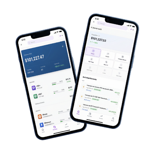 App Preview - Portfolio and Home views